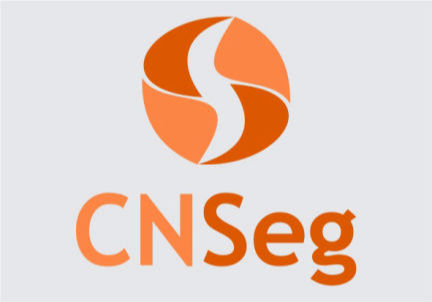 CNSeg